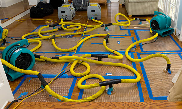 Professional Sewage Cleanup technician working in Mansfield, OH